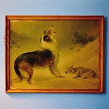 Explosions in the Sky - Explosions In The Sky 'The Rescue (Anniversary Edition)’