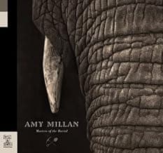 Burial - Masters of the Burial